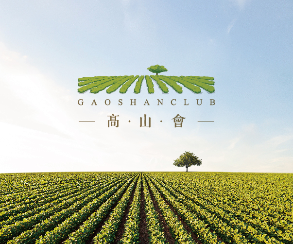 后現(xiàn)代公寓品牌設(shè)計(jì)：大膽色彩、藝術(shù)與幾何形狀的完美融合
