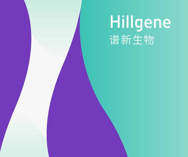 上海VI設(shè)計(jì)公司談酒店設(shè)計(jì)-歷史與奢華交織的頂級(jí)之選